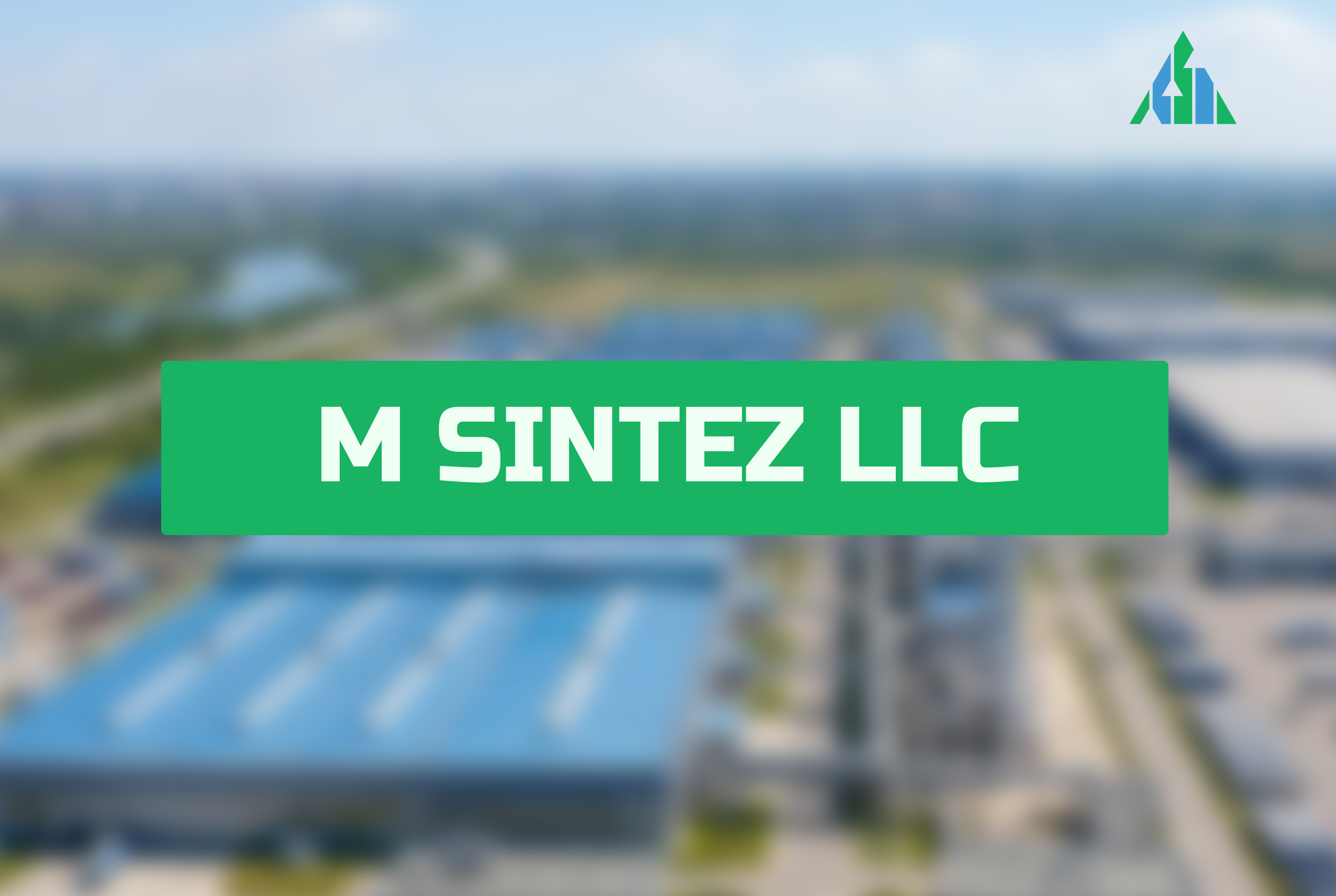 M SINTEZ LLC